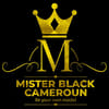 Mister Black Cameroun - Finales