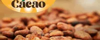 Eden Espoir Cacao