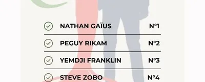Liste officille des Misters