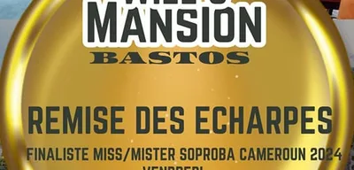 Remise des echarpes