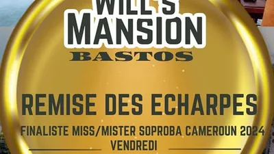 Remise des echarpes