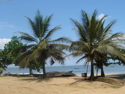 Kribi