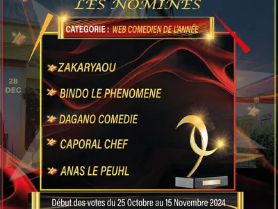 Web comédien de l’année
