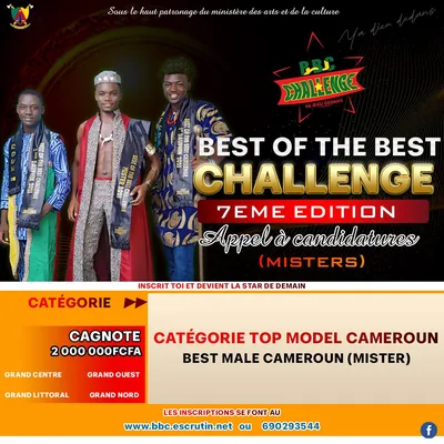 Flyer4