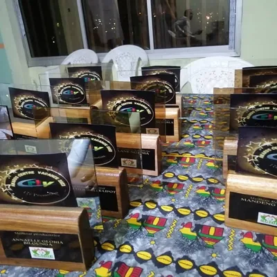 Remise des awards