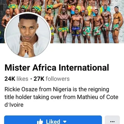 We're a franchise of Mister Africa International