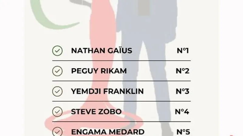 Liste officille des Misters